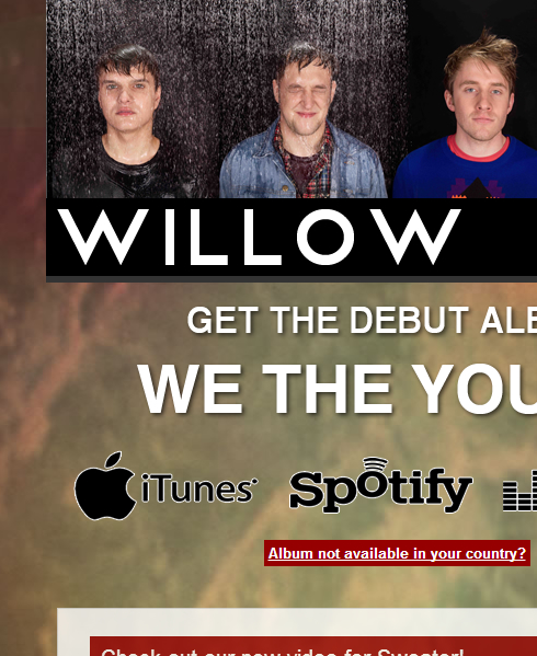 Website Willow
